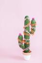 Cactus lovers, this is the one for you. [Photo: Pinterest]