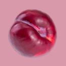 <p>Grabbing a plum to snack on during the day is a sweet way to keep your cholesterol levels in check: The fruit contains anthocyanins — a.k.a. antioxidants — that help out your heart by <a href="https://www.redbookmag.com/body/healthy-eating/g4540/fruit-health-benefits/" rel="nofollow noopener" target="_blank" data-ylk="slk:lowering blood pressure and cholesterol;elm:context_link;itc:0;sec:content-canvas" class="link ">lowering blood pressure and cholesterol</a>. According to <a href="http://circ.ahajournals.org/content/127/2/188" rel="nofollow noopener" target="_blank" data-ylk="slk:one study;elm:context_link;itc:0;sec:content-canvas" class="link ">one study</a>, eating three or more servings of anthocyanin-rich fruit each week can lower your heart attack risk by 34 percent.</p><p><strong>RELATED: </strong><a href="https://www.redbookmag.com/body/healthy-eating/g4252/nutritionists-healthy-eating-tips/" rel="nofollow noopener" target="_blank" data-ylk="slk:What Nutritionists Tell Their Friends About Healthy Eating;elm:context_link;itc:0;sec:content-canvas" class="link "><strong>What Nutritionists Tell Their Friends About Healthy Eating</strong></a></p>