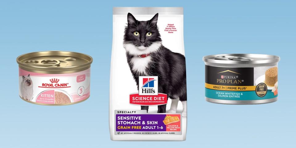 A collage of packages of Chewy, Hills, and Purina cat food on a light blue gradient background.