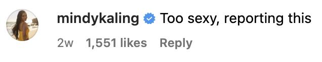 Screenshot of an Instagram comment