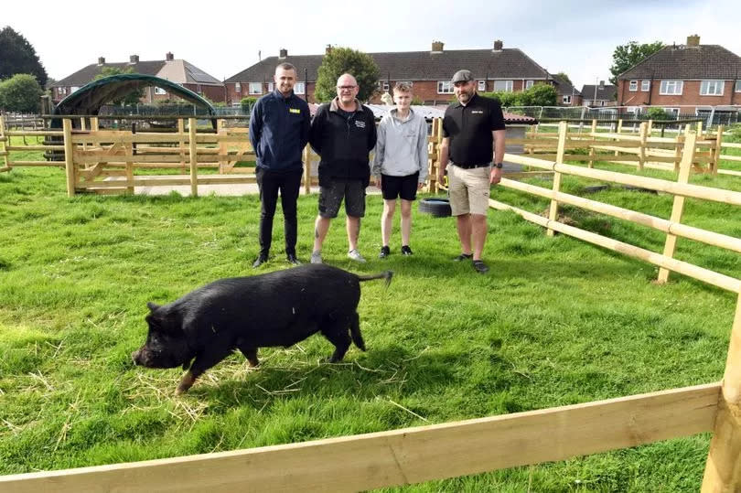 Nunny's Farm in Grimsby opens the new Pig Palace built by Poppy Taff. L-R: Tom Wilson from MKM, Poppy's uncle, Simon Finch, Poppy Taff and Neil Campbell