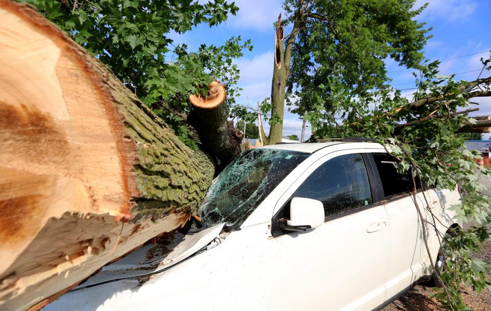 A large downed tree rests on a white van after severe weather Tuesday, July 16, 2024, on Dodge Avenue just south of 12th Street in Mishawaka.