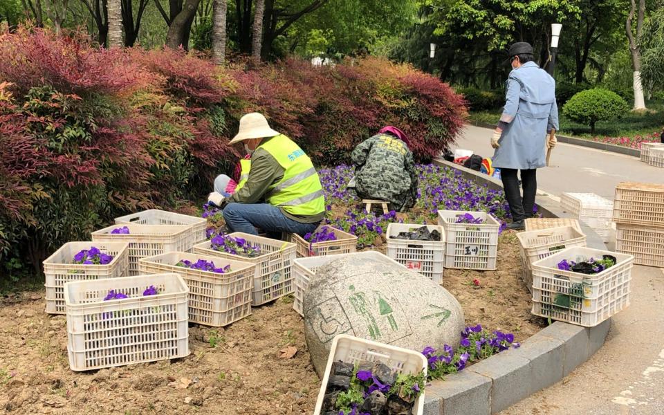 Workers at a public park are busy planting flowers just before Wuhan officially re-opens after months of lockdown - Sophia Yan