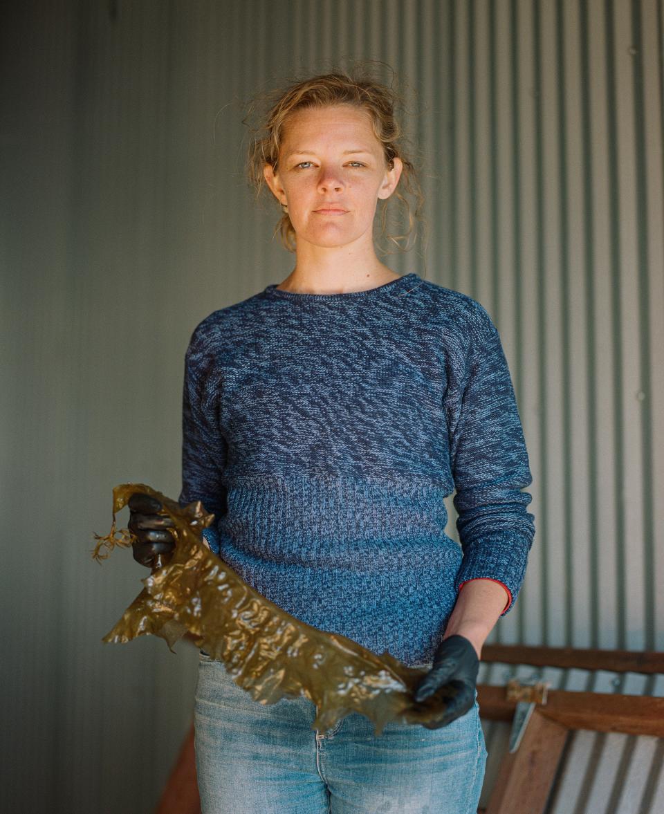 Tesia Bobrycki holds a piece of sugar kelp at the organization's processing facility in Cordova.