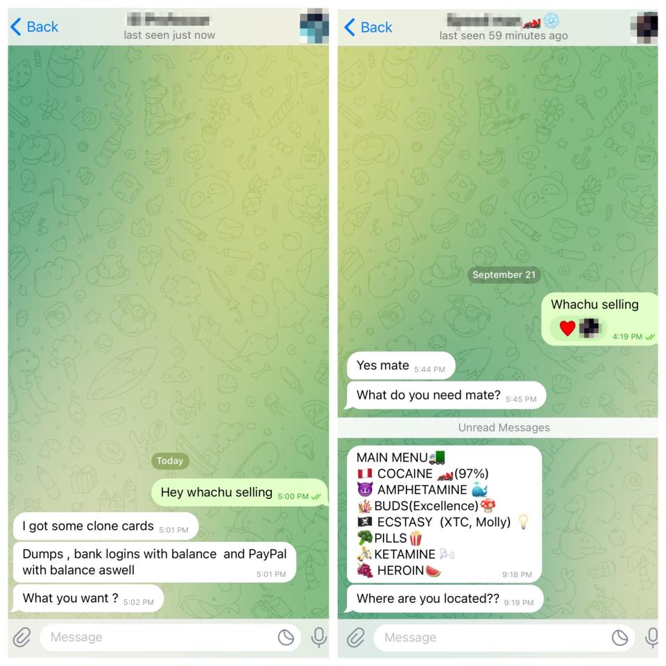 Screengrabs showing Telegram chat with people offering to sell drugs and clone credit cards to Insider's reporter.