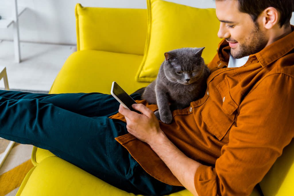 A man looks at his phone as his cat sits on his lap.