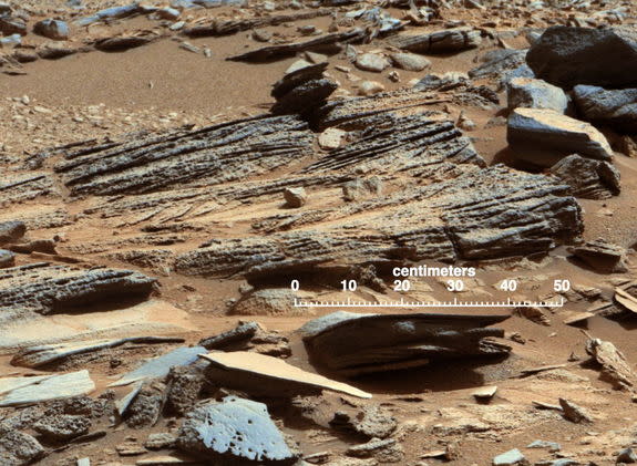 This image from the Mast Camera (Mastcam) on NASA's Mars rover Curiosity shows inclined layering known as cross-bedding in an outcrop called "Shaler" on a scale of a few tenths of meters, or decimeters (1 decimeter is nearly 4 inches). Image re