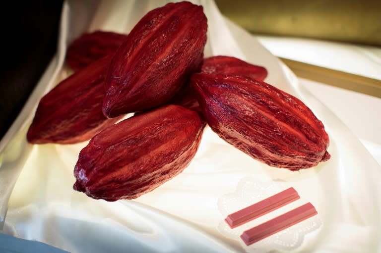 Sublime ruby KitKat bars, made of pink ruby chocolate, next to mock cocoa beans at a KitKat chocolate shop in Tokyo