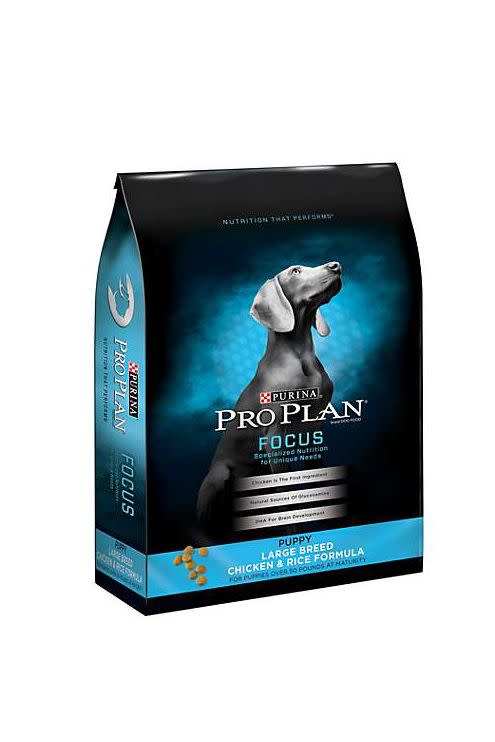 High Protein Large Breed Dry Dog Food