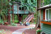 <p>Nestled in the lush woods on Whidbey Island, just one hour north of Seattle, this getaway is built around a cedar tree, letting guests reside 13 feet above ground. The spacious, covered deck is guaranteed to be your favorite spot, with full-circle views of the surrounding trees and wildlife such as deer, owls, and eagles.</p><p><a class="link " href="https://www.airbnb.com/rooms/1062312" rel="nofollow noopener" target="_blank" data-ylk="slk:BOOK NOW;elm:context_link;itc:0;sec:content-canvas">BOOK NOW</a> <strong><em>Octagon Tree Home</em></strong><br></p>