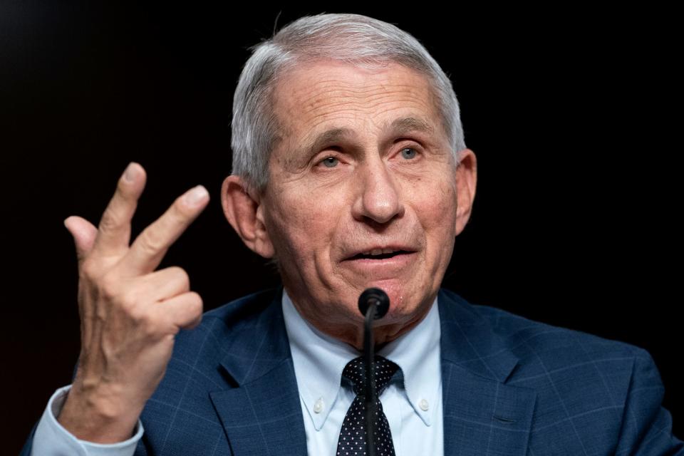 Dr. Anthony Fauci testifies before a Senate Health, Education, Labor, and Pensions Committee hearing on January 11, 2022 on Capitol Hill in Washington.