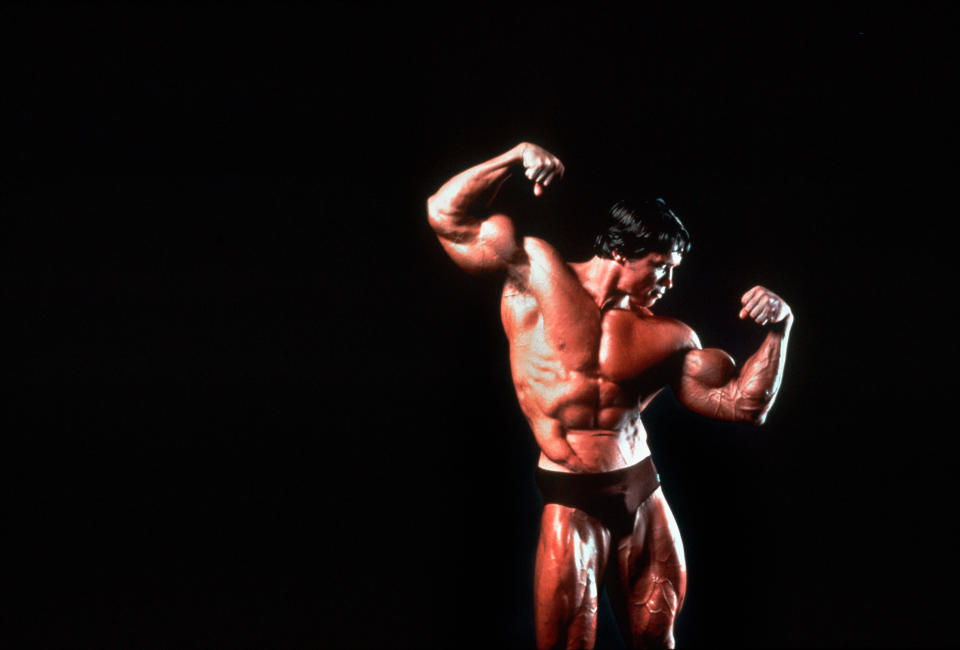 Arnold Schwarzeneggers Career The Highs And Lows