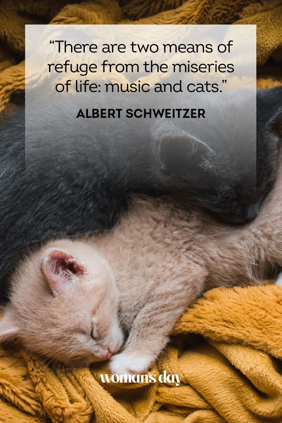 Albert Schweitzer