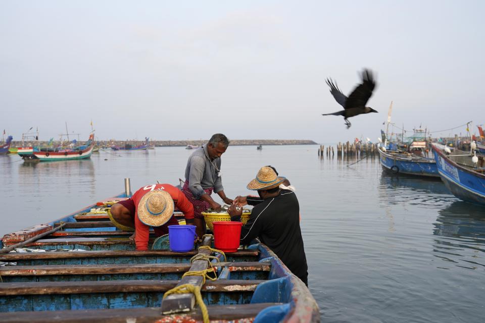 Fisherman put their day's catch in buckets to bring to shore in the Chellanam area of Kochi, Kerala state, India, March 3, 2023. Many in the fishing hamlet of 40,000 people are living with fears of weather events exacerbated by climate change: cyclones, surging seas, flooding and erosion. (AP Photo)