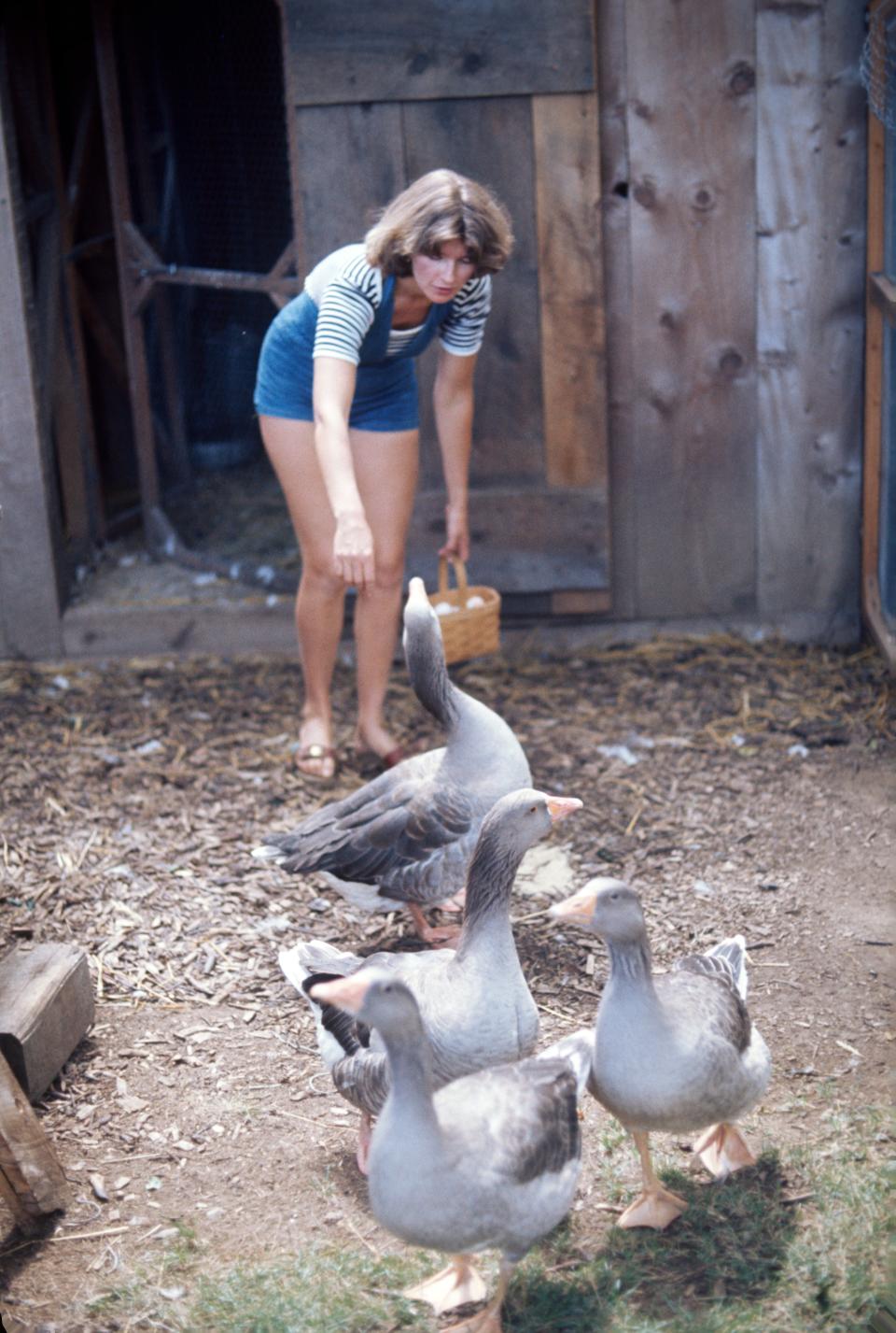 Happy Birthday, Martha Stewart: 20 Vintage Photos of the DIY Icon