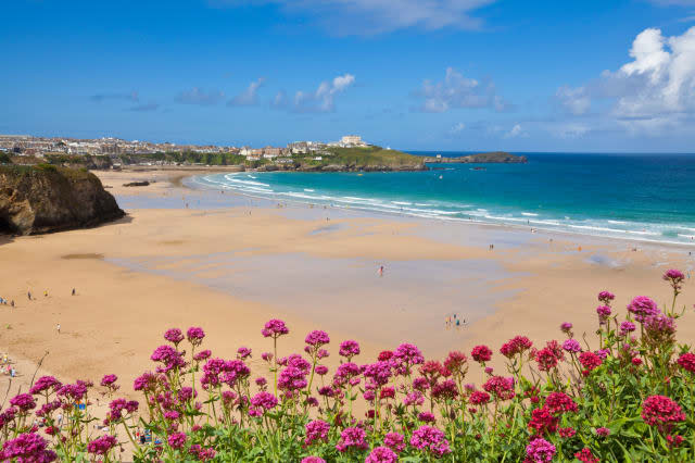 Newquay Beach with valerian in foreground, Cornwall, England, United Kingdom, Europe