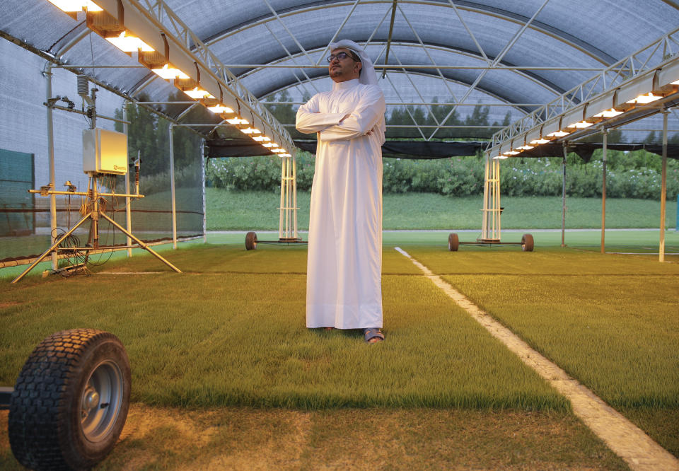 In this Wednesday, Oct. 31, 2018 picture, Yasser Al Mulla - Landscape and Sport Turf Management Senior Manager, Competition Venues, speaks during an interview with the Associated Press in Doha, Qatar. Al-Mulla oversees a turf farm a few miles west of the city center, where he's tested 36 different kinds of grass, exposing them to various amounts of shade, sunlight and other forms of treatment to see what works and what doesn't.(AP Photo/Vadim Ghirda)