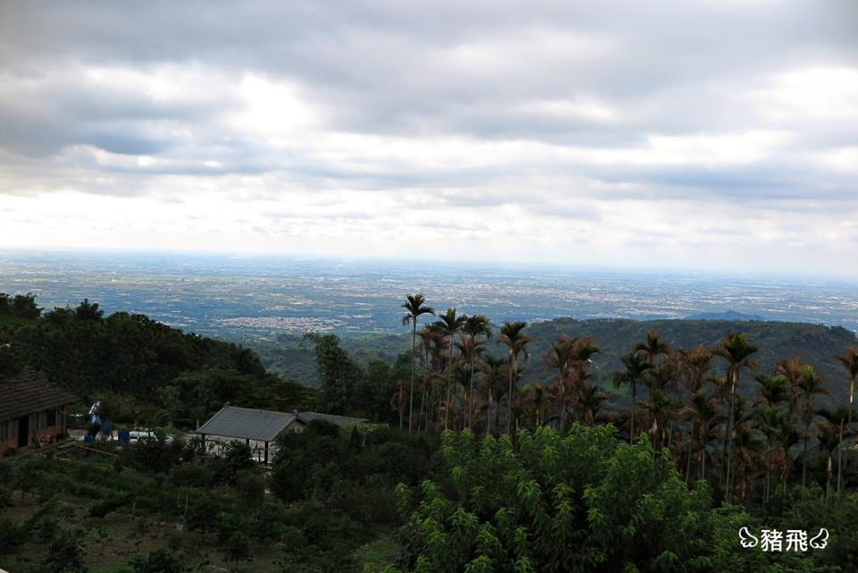 雲林古坑｜華山維野納景觀餐廳