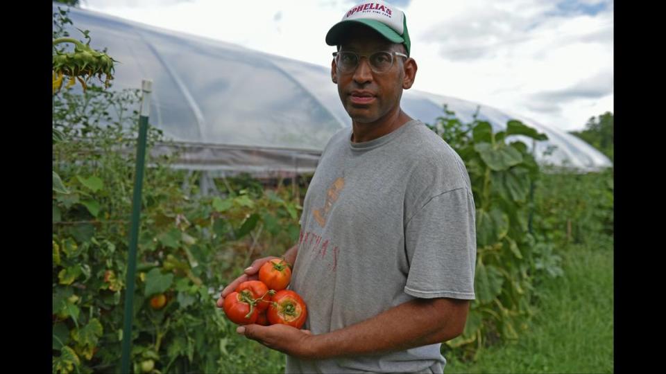 Mike Rollen, the founder of Ophelia’s Blue Vine Farm off 18th and Vine streets, holds home-grown tomatoes outside his Kansas City greenhouse. “ I started to get back into gardening because I wanted my boys to know what real food tastes like, you know, like real tomatoes,” he said.