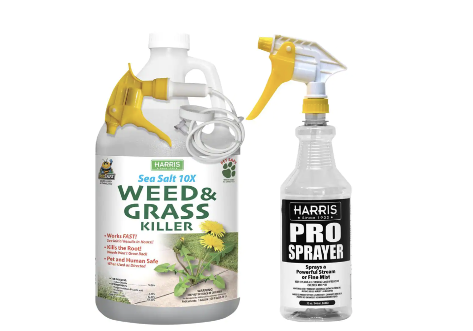 <p><a href="https://go.redirectingat.com?id=74968X1596630&url=https%3A%2F%2Fwww.homedepot.com%2Fp%2FHarris-128-oz-Sea-Salt-Weed-and-Grass-Killer-with-32-oz-Pro-Spray-Bottle-SEAWEED128PRO32%2F322381769%3Fsource%3Dshoppingads%26locale%3Den-US%26srsltid%3DAfAwrE4YDgzeQWOU9JoXNKTreNfoOzEtFLUMan-dnZBQgeJxyDZgBLhbd5s&sref=https%3A%2F%2Fwww.thepioneerwoman.com%2Fhome-lifestyle%2Fgardening%2Fg39189669%2Fbest-organic-weed-killers%2F" rel="nofollow noopener" target="_blank" data-ylk="slk:Shop Now;elm:context_link;itc:0;sec:content-canvas" class="link ">Shop Now</a></p><p>Harris Sea Salt Weed and Grass Killer</p><p>homedepot.com</p><p>$15.82</p><span class="copyright">Home Depot</span>