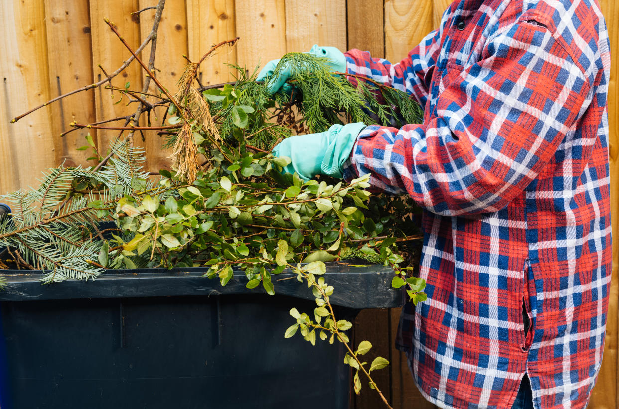 Woman putting garden clippings into a large plastic garbage bin. Within the district, the council provide different bins for separate categories of waste recycling.