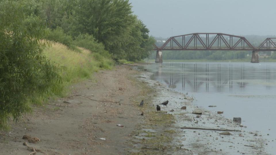 A lack of rain in New Brunswick last summer dropped water levels and cost NB Power $30 million in reduced hydro generation at its river dams.