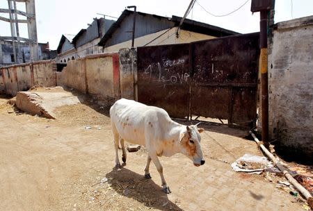 FILE PHOTO: A cow walks past a closed slaughter house in Allahabad, India March 28, 2017. REUTERS/Jitendra Prakash/File Photo