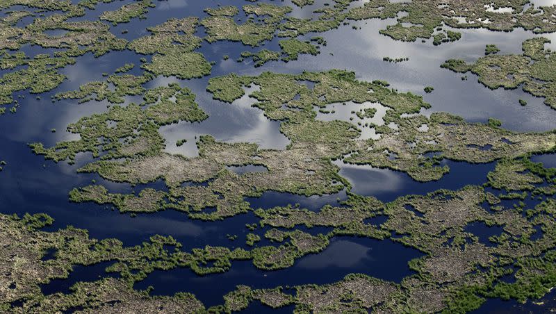 In this photo taken Thursday, June 20, 2019, a wetland area covers the landscape in east central North Dakota. On Tuesday, Aug. 29, 2023, the EPA announced new rules regarding wetlands protected under the Clean Water Act.