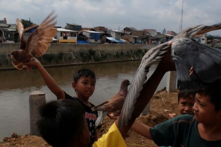 Children play with pigeons at the Ciliwung river bank at Jatinegara district in Jakarta, Indonesia, December 29, 2016. Picture taken December 29, 2016. REUTERS/Beawiharta