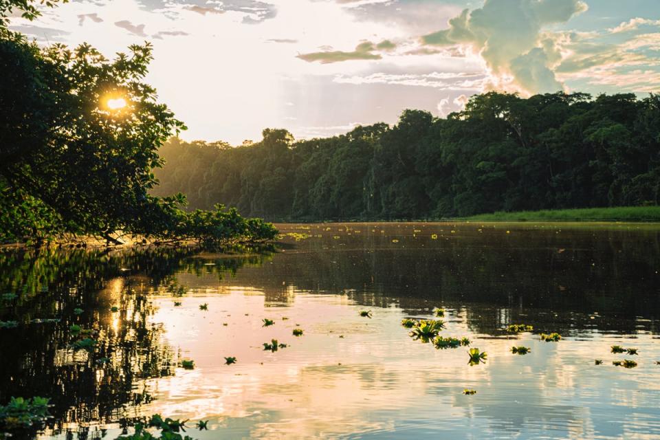 The Amazon is home to various lakes, such as Nueva Loja (Unsplash/Kiyoshi)