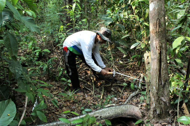 Botanist Edilson Consuelo de Oliveira marks a parcel of Amazon rainforest in Itapua do Oeste