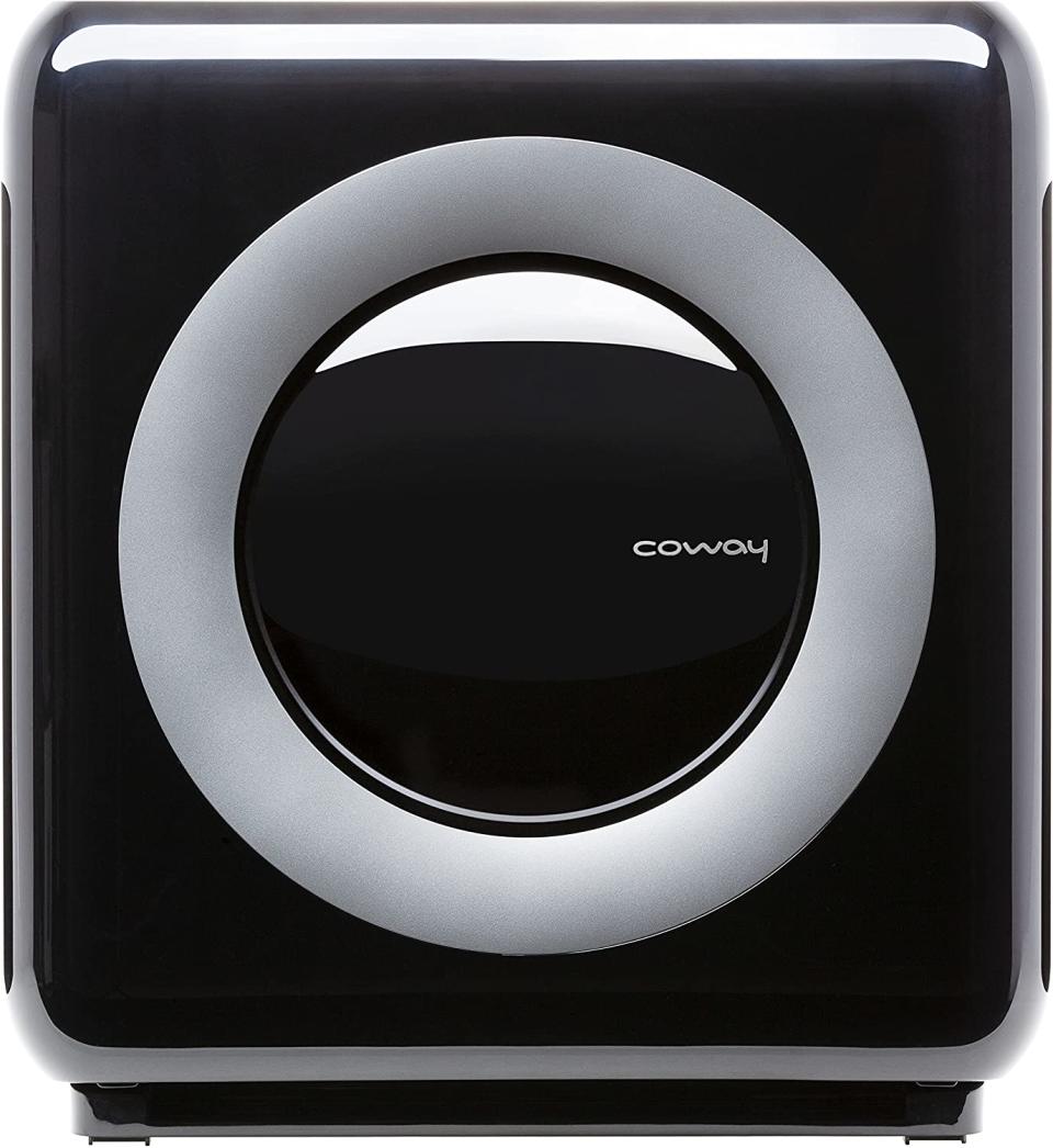 best air purifier for smoke coway ap