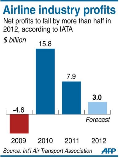 Graphic charting annual profits of the global airline industry, which would plummet more than halfin in 2012, according to the International Air Travel Association