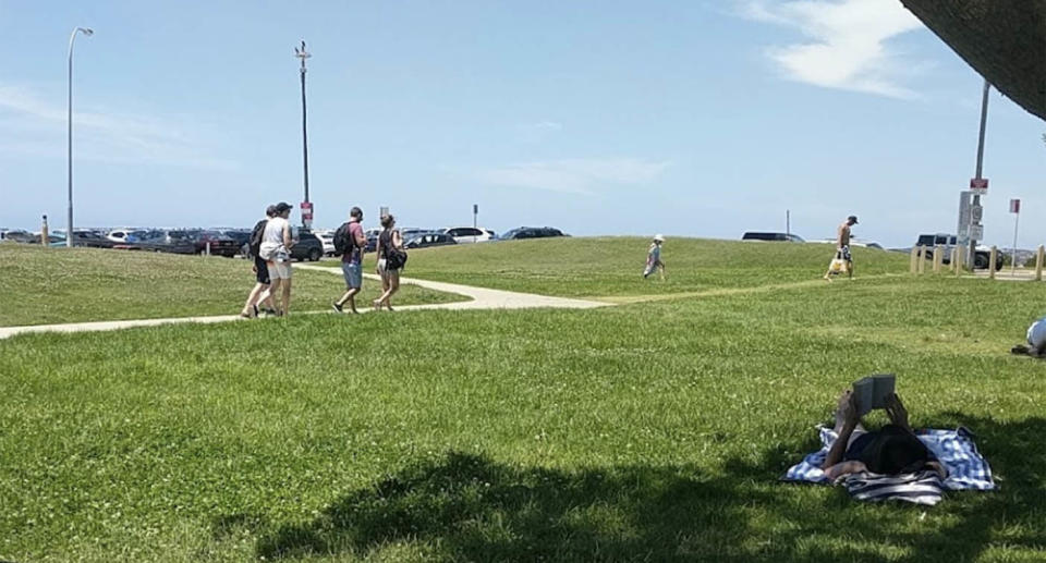 Bundock Park in Clovelly