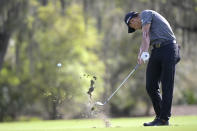 Collin Morikawa hits from the ninth fairway during the final round of the Workday Championship golf tournament Sunday, Feb. 28, 2021, in Bradenton, Fla. (AP Photo/Phelan M. Ebenhack)