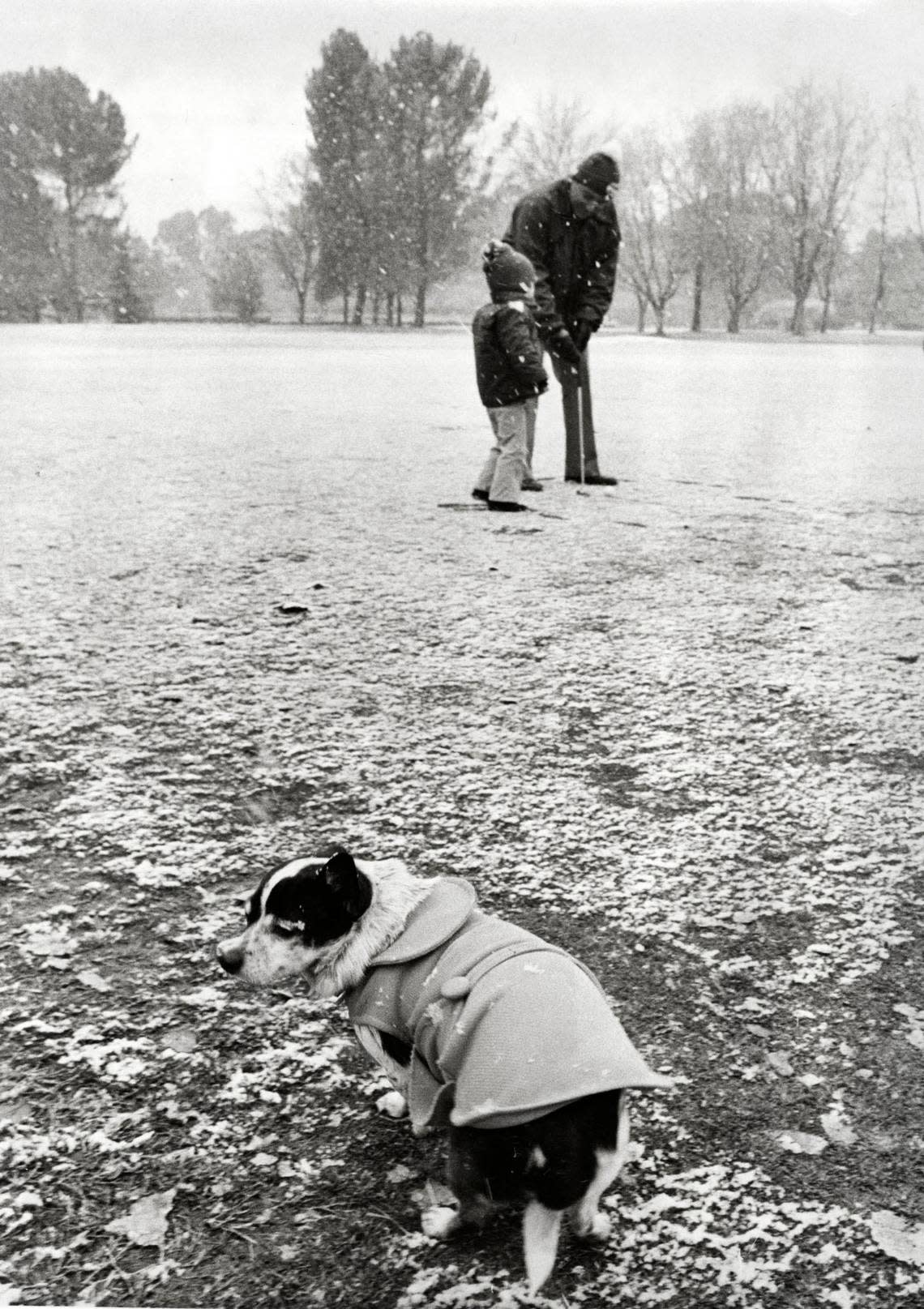Land Park golf pro Don Oreb braves the snowy weather to give a putting lesson to 4-year-old Rickey Gregson on Feb. 5, 1976, while Chibi – despite the doggie jacket – has second thoughts about wandering around the park in the snow. Leo Neibaur/Sacramento Bee file