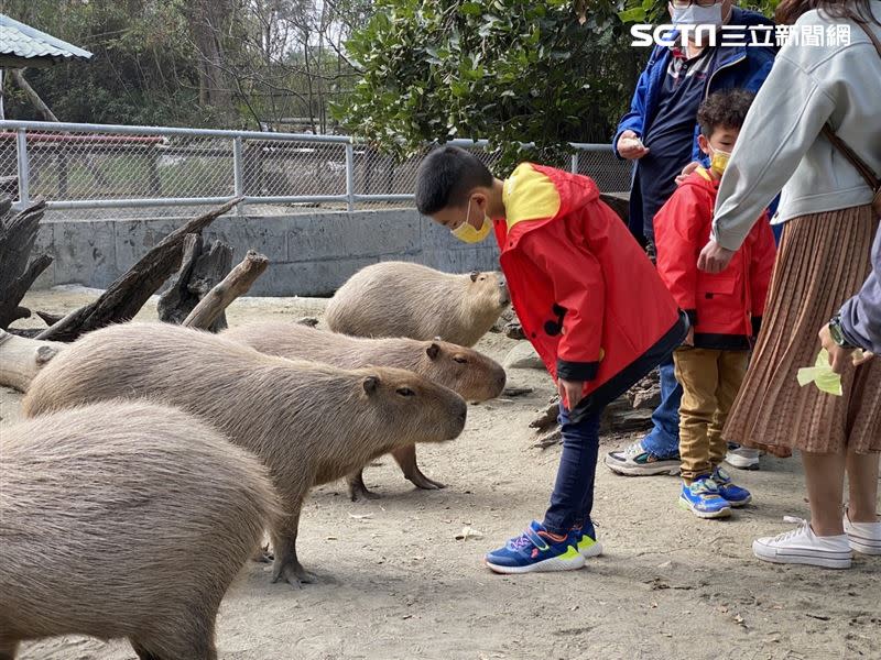 頑皮世界是南台灣最大的動物園。（圖／頑皮世界提供）