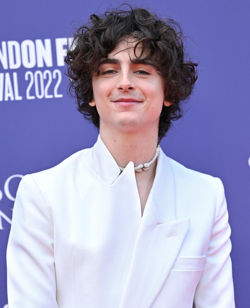 closeup of Timothee smiling