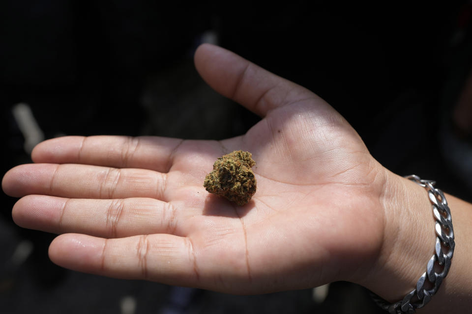 A cannabis supporter holds a piece of cannabis during a demonstration outside the Government House in Bangkok, Thailand, Tuesday, Nov. 22, 2022. Thailand made it legal to cultivate and possess marijuana for medicinal purposes earlier this year, but lax regulations allowed the growth of a recreational marijuana industry, and the demonstrators don't want the rules against it to be strengthened again. (AP Photo/Sakchai Lalit)