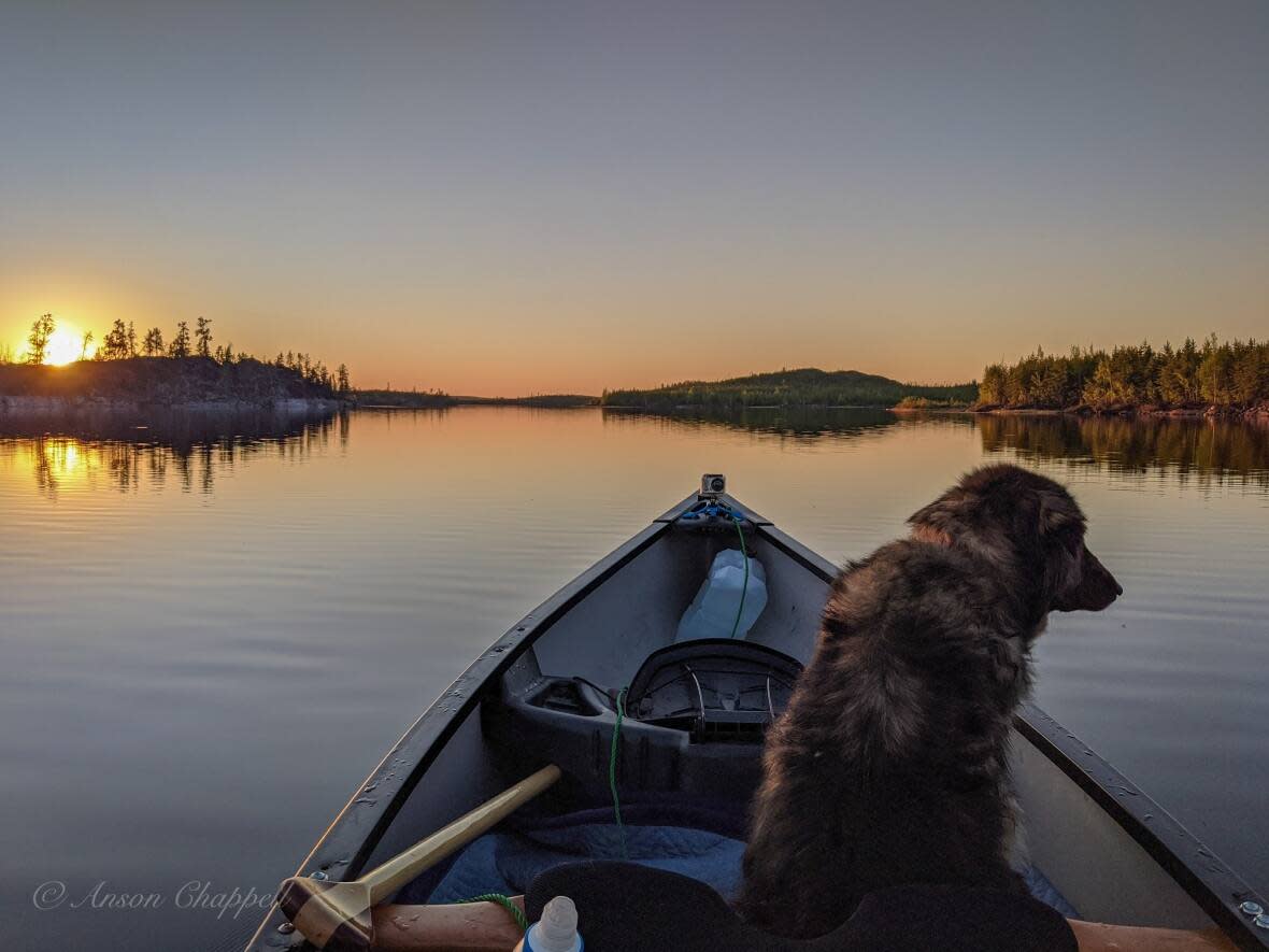 Luna-Belle was, in the words of her owner Anson Chappell, a canoe dog. She loved hopping in the boat for a ride down the Yellowknife River. (Photo submitted by Anson Chappell - image credit)