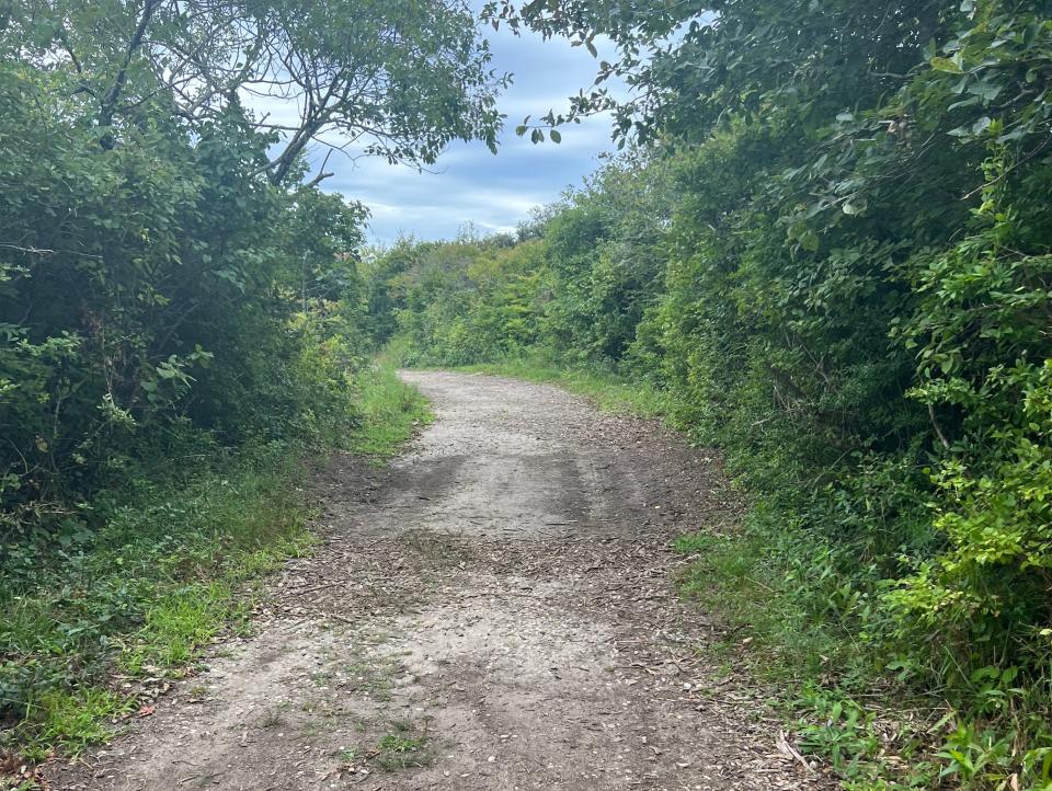 then the trail turned into a dirt road