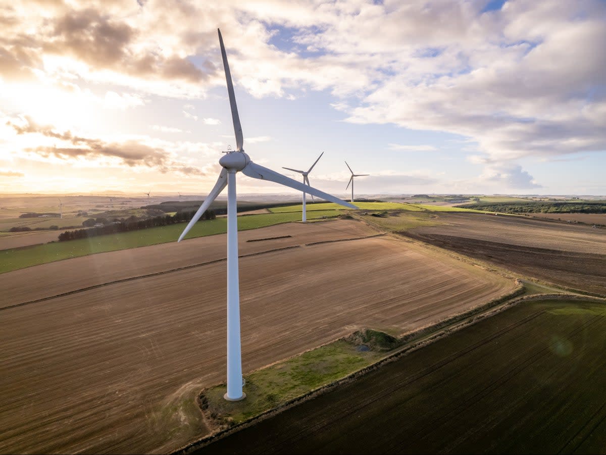 The Russian invasion of Ukraine could see wider adoption of renewable energy  (Getty )