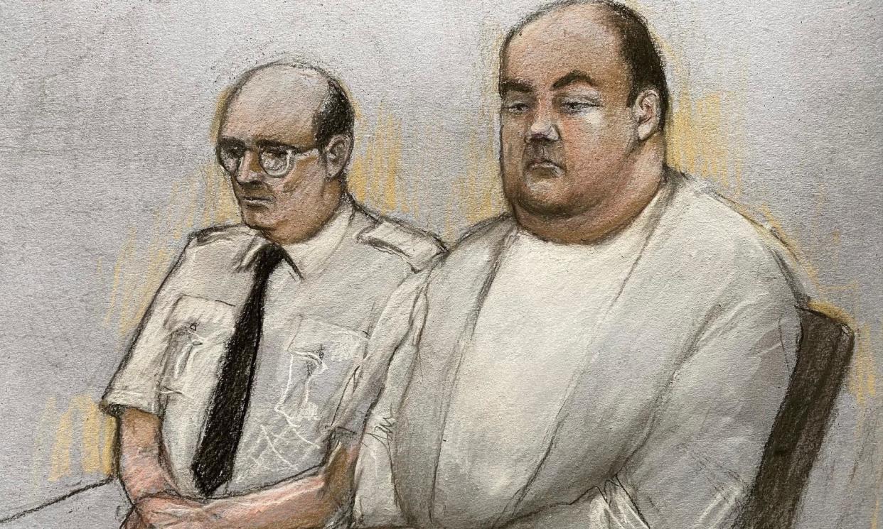 <span>A court artist’s drawing of Gavin Plumb (right), who denies plotting to kidnap, rape and murder Holly Willoughby.</span><span>Photograph: Elizabeth Cook/PA</span>