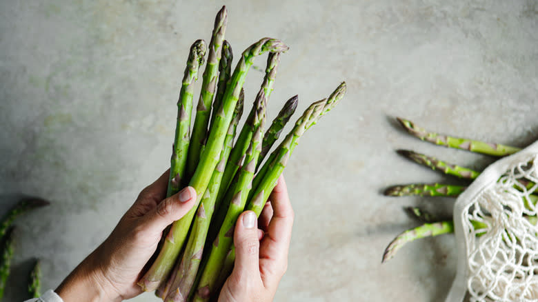 Hands holding bunch of asparagus