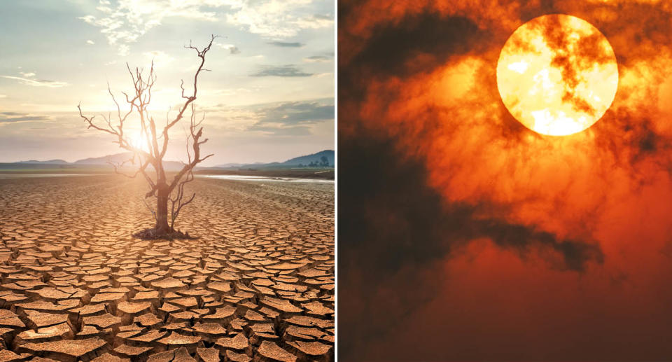 (left) a dead tree in a drought-stricken field Source: Getty Images (right) Sun through dark smoke clouds from bushfires with red glow, during climate change in Australia. Source: Getty Images 