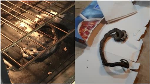 小蛇被烤箱的高溫烤到乾掉。（圖／翻攝自WRAL TV臉書）