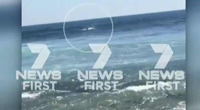 Shocking footage shows thrashing in the water as someone yells for the surfers to come in. Photo: 7 News