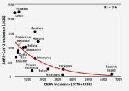 The inverse exponential correlation between COVID-19 case incidence as a function of the dengue fever incidence for a sample of countries in Latin America, Asia, and a few islands in the Pacific and Indian Oceans is seen in this undated handout image