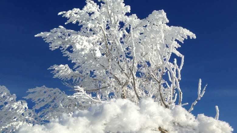 Canada weather: All 10 provinces under warnings or special statements