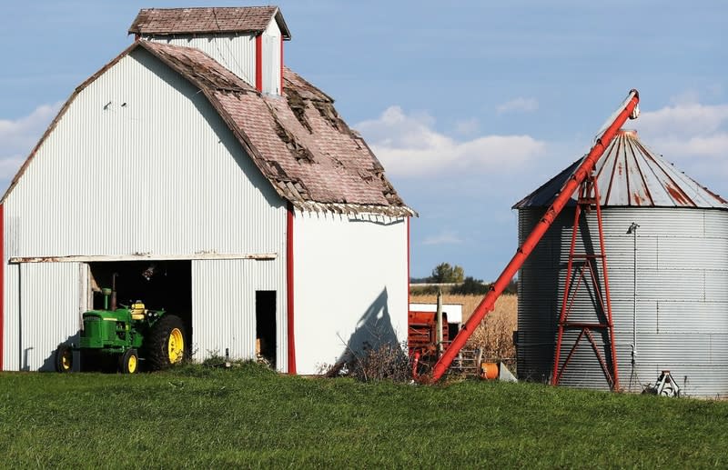 rural politics